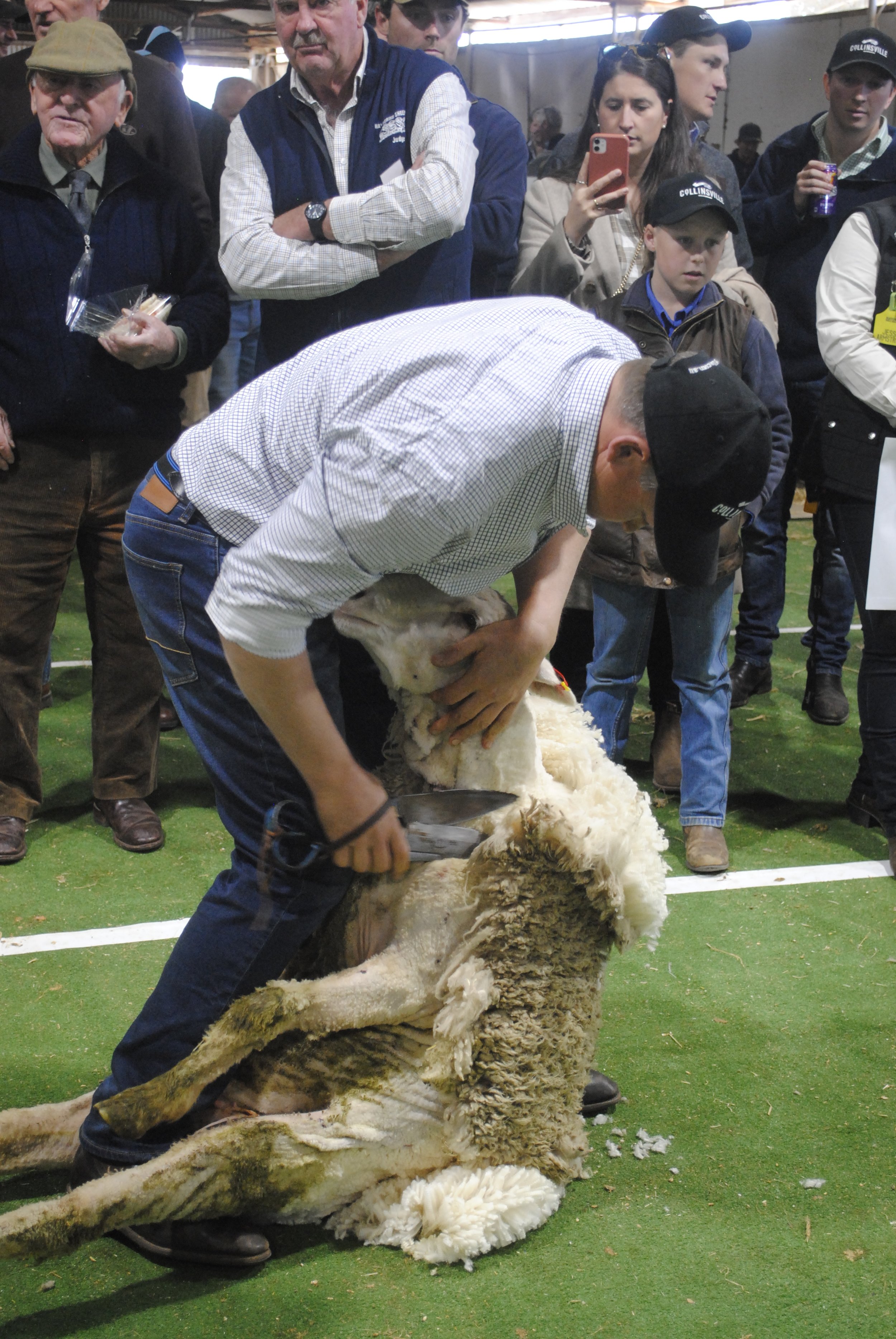 2023 Sheep Show (28).JPG