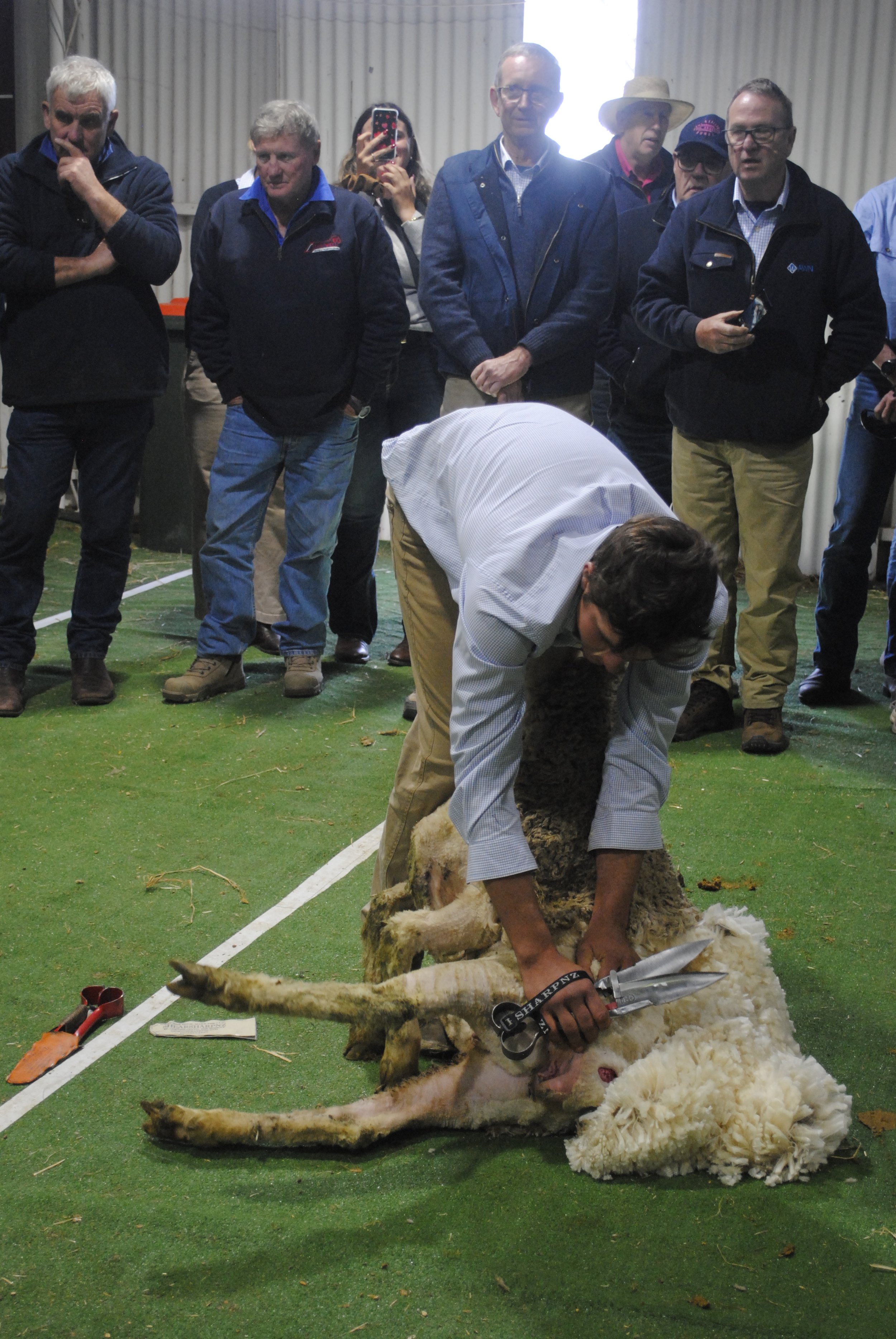 2023 Sheep Show (30).JPG