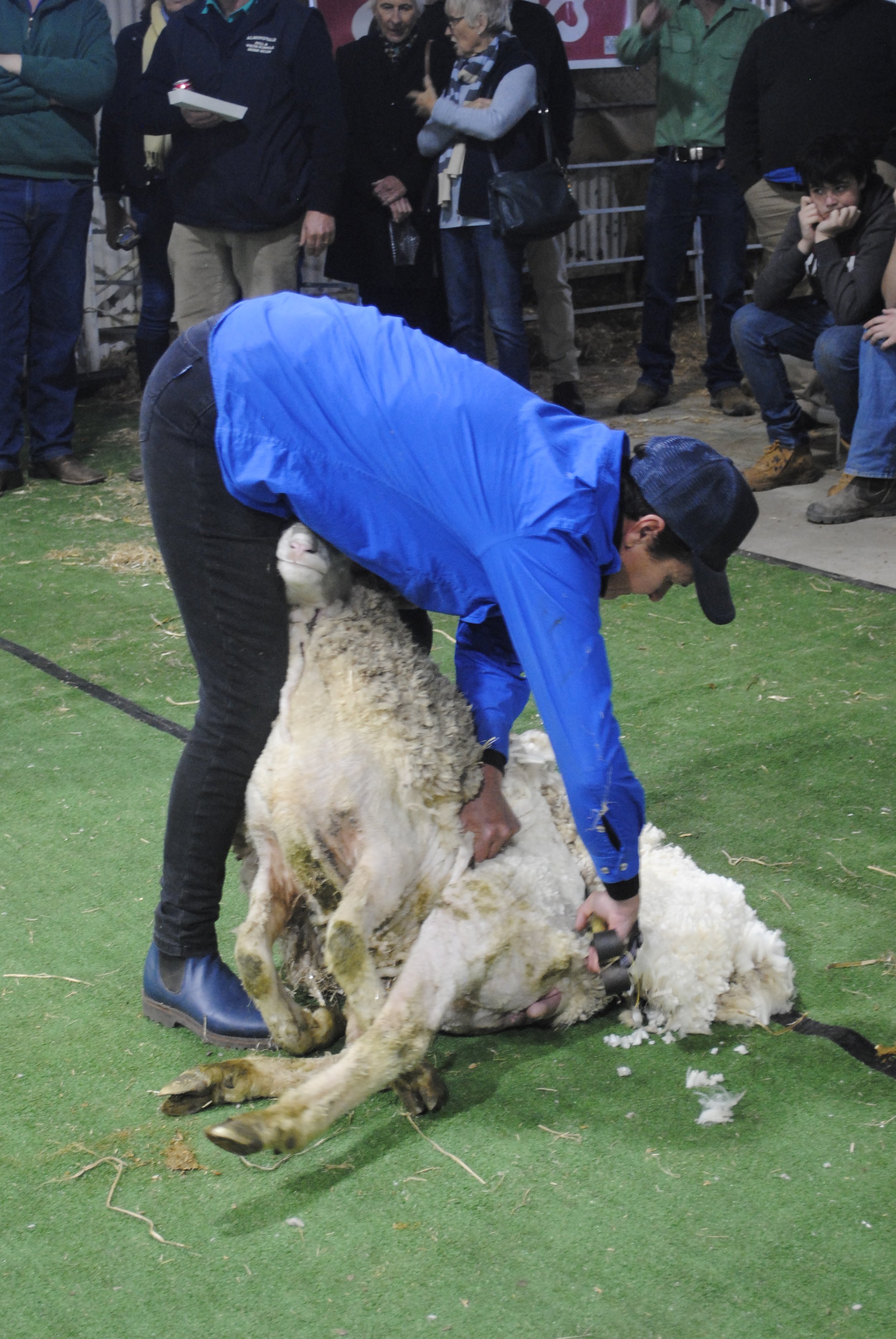 2023 Sheep Show (32).JPG