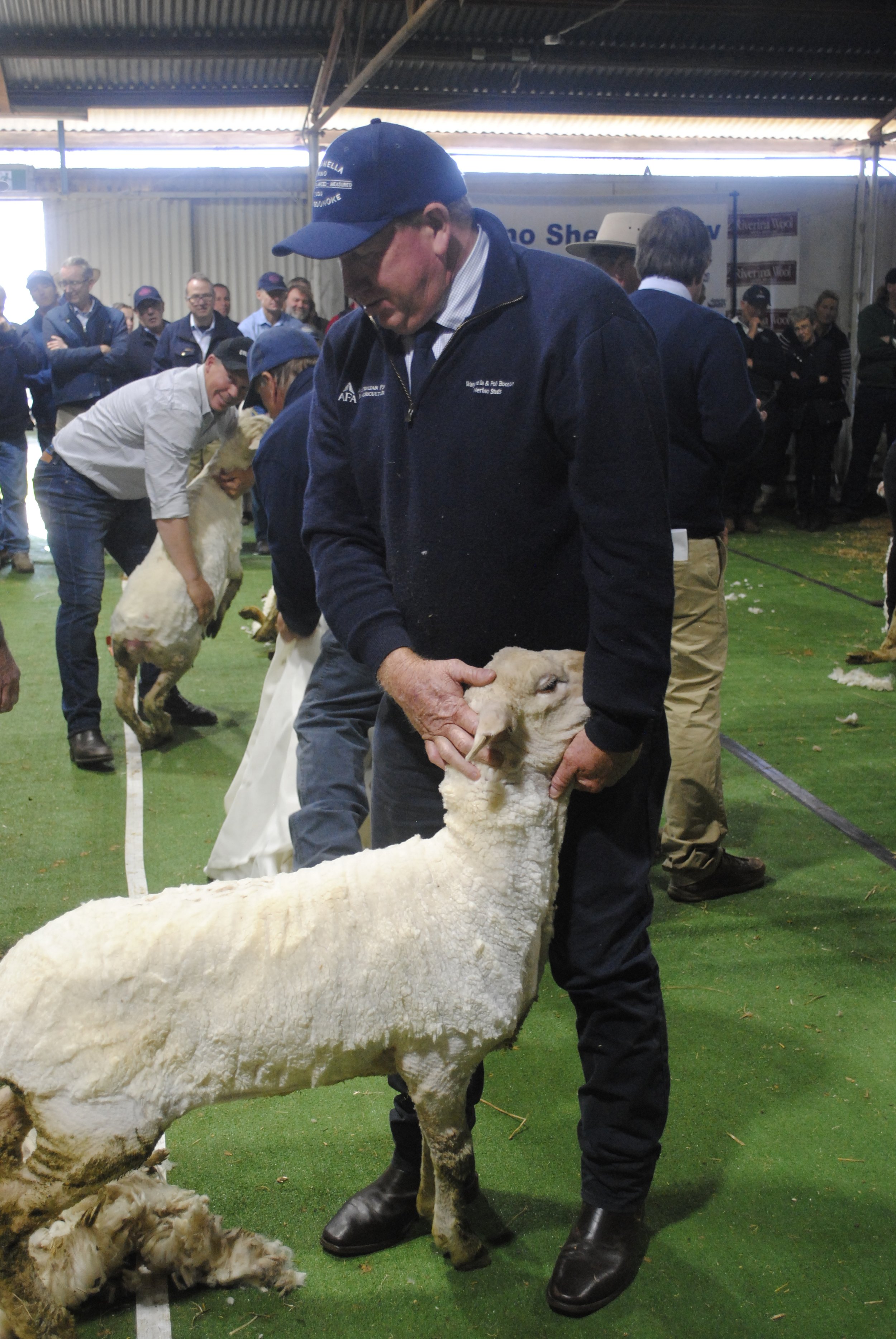 2023 Sheep Show (39).JPG