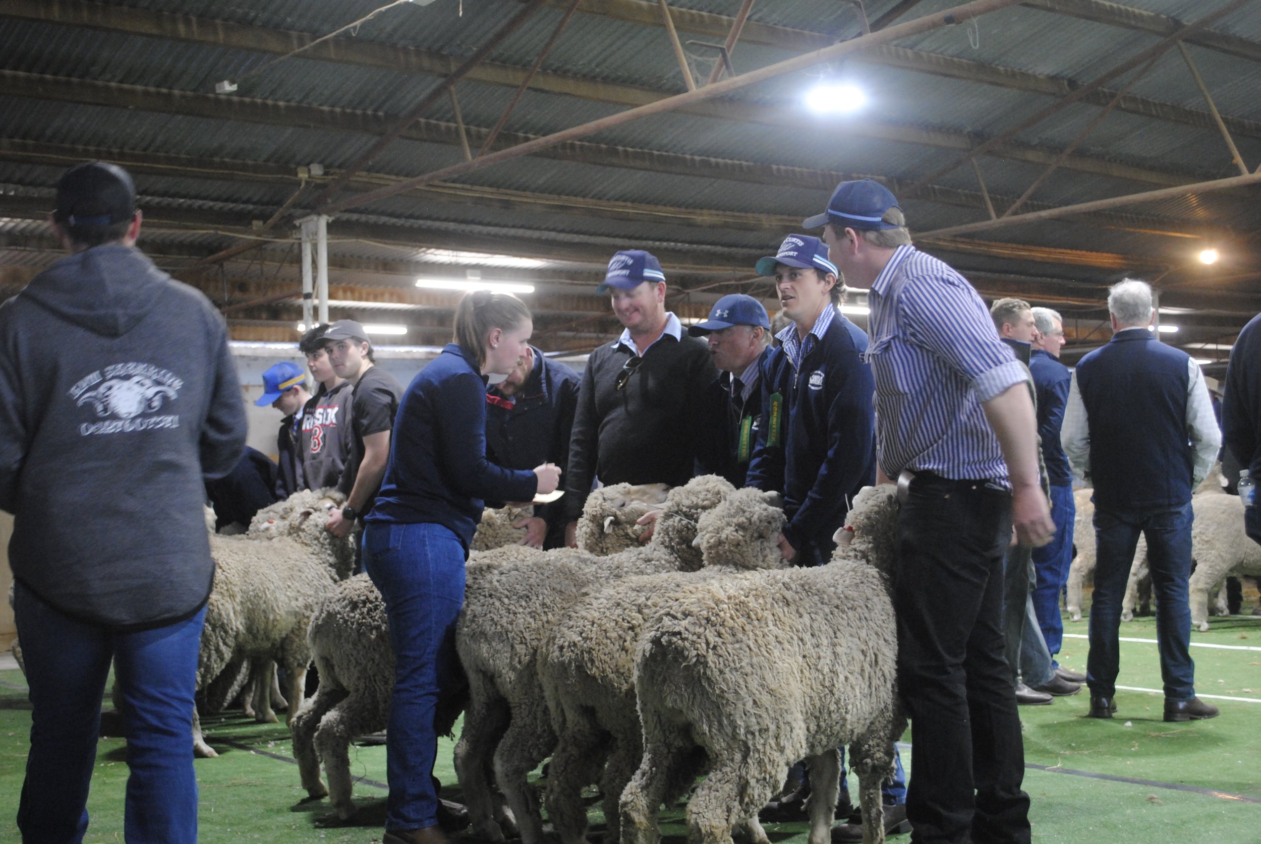 2023 Sheep Show (41).JPG