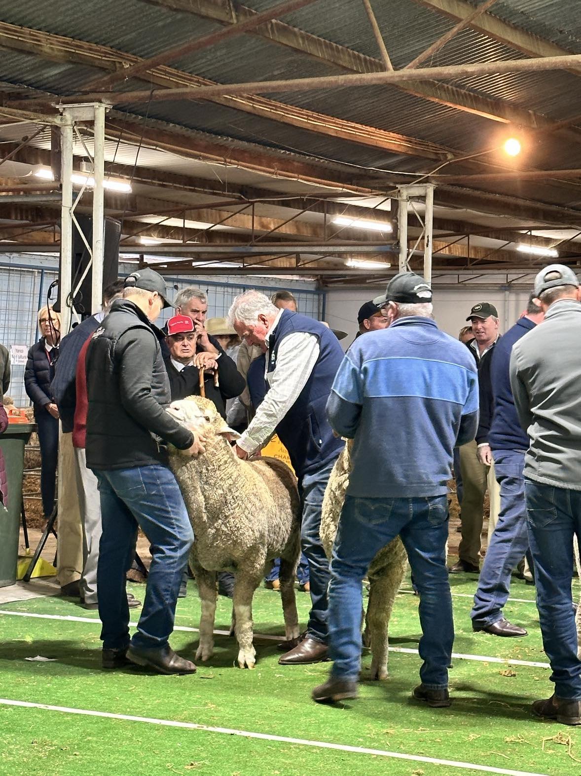 2023 Sheep Show (43).jpg