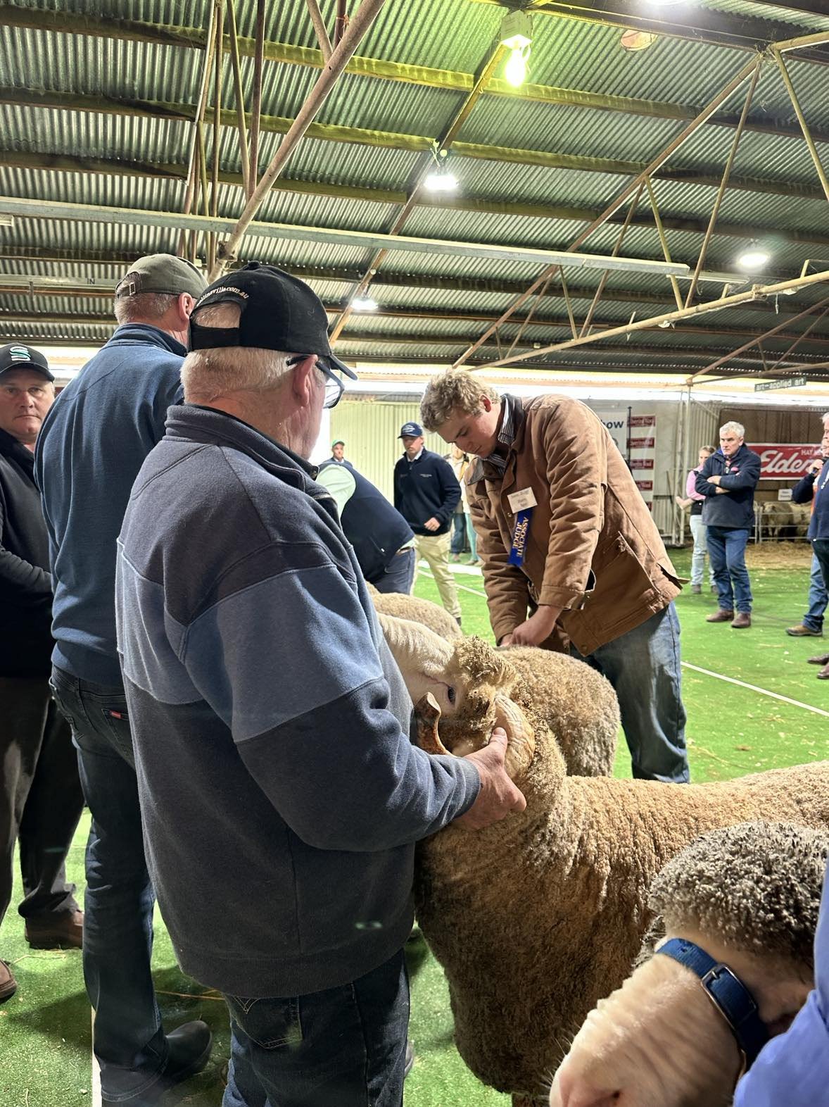 2023 Sheep Show (44).jpg