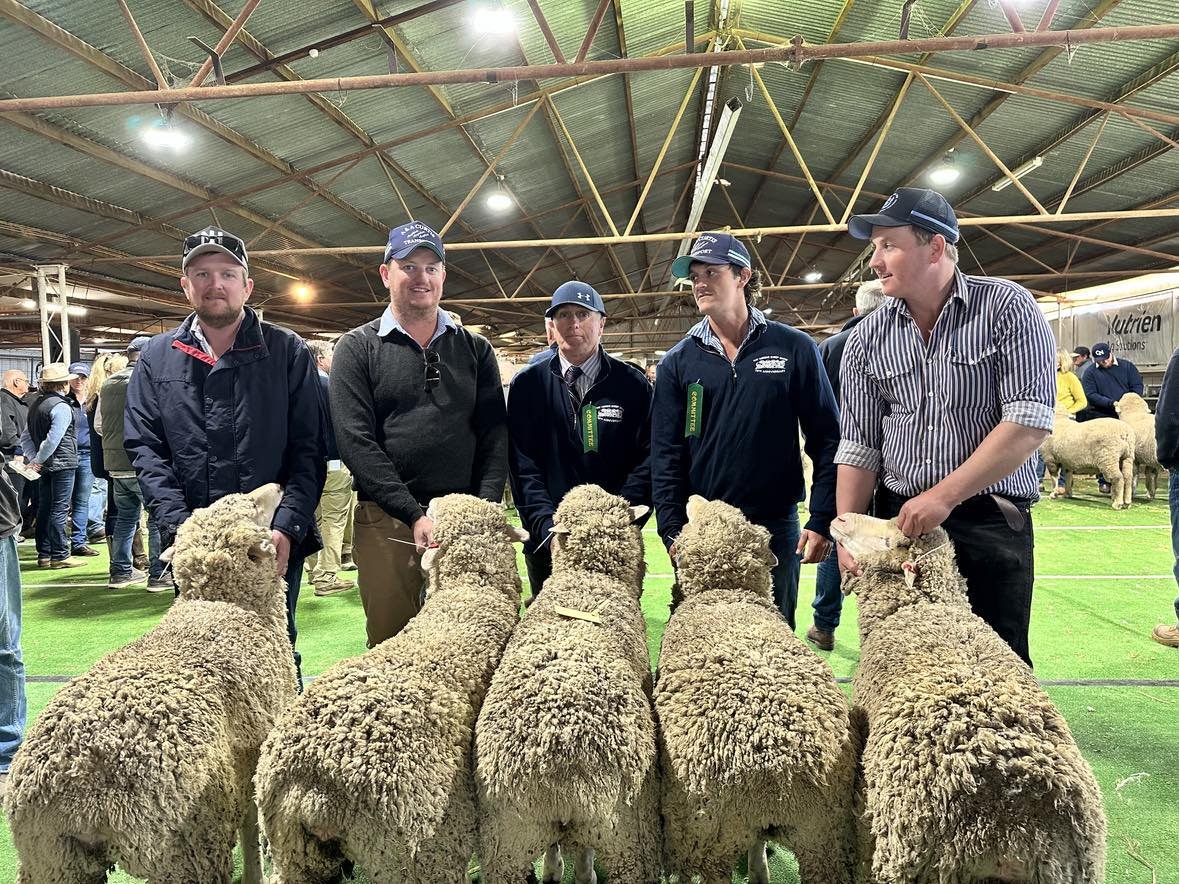 2023 Sheep Show (46).jpg