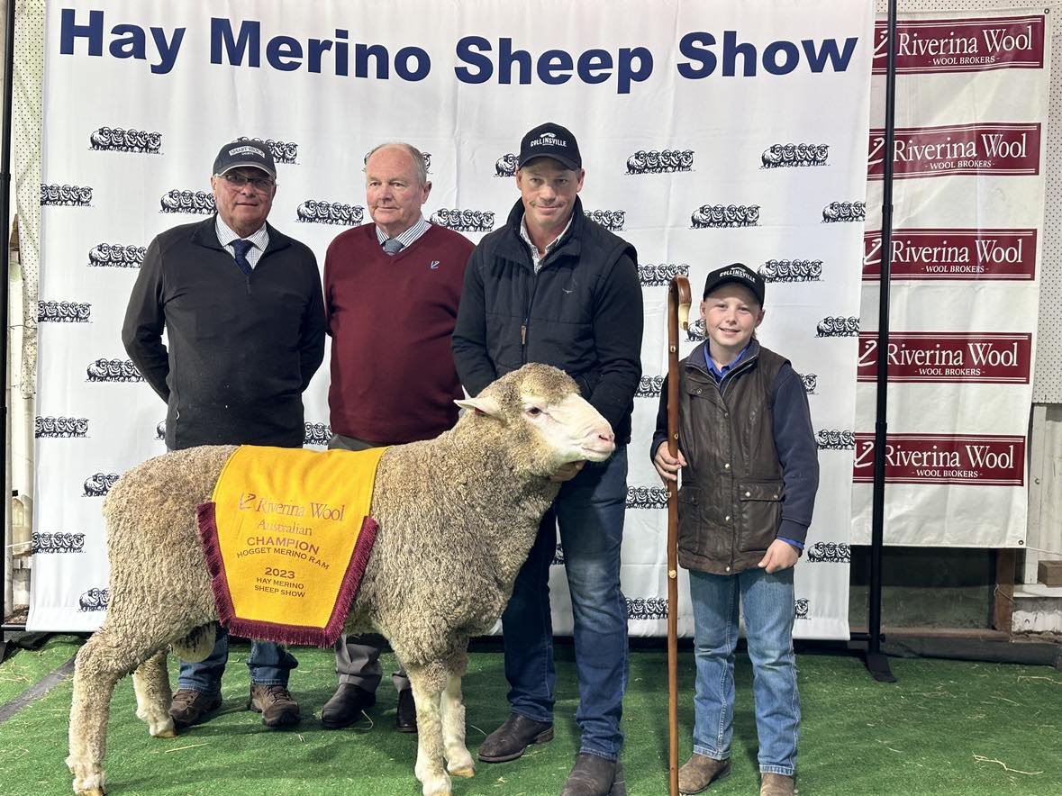 2023 Sheep Show (55).jpg