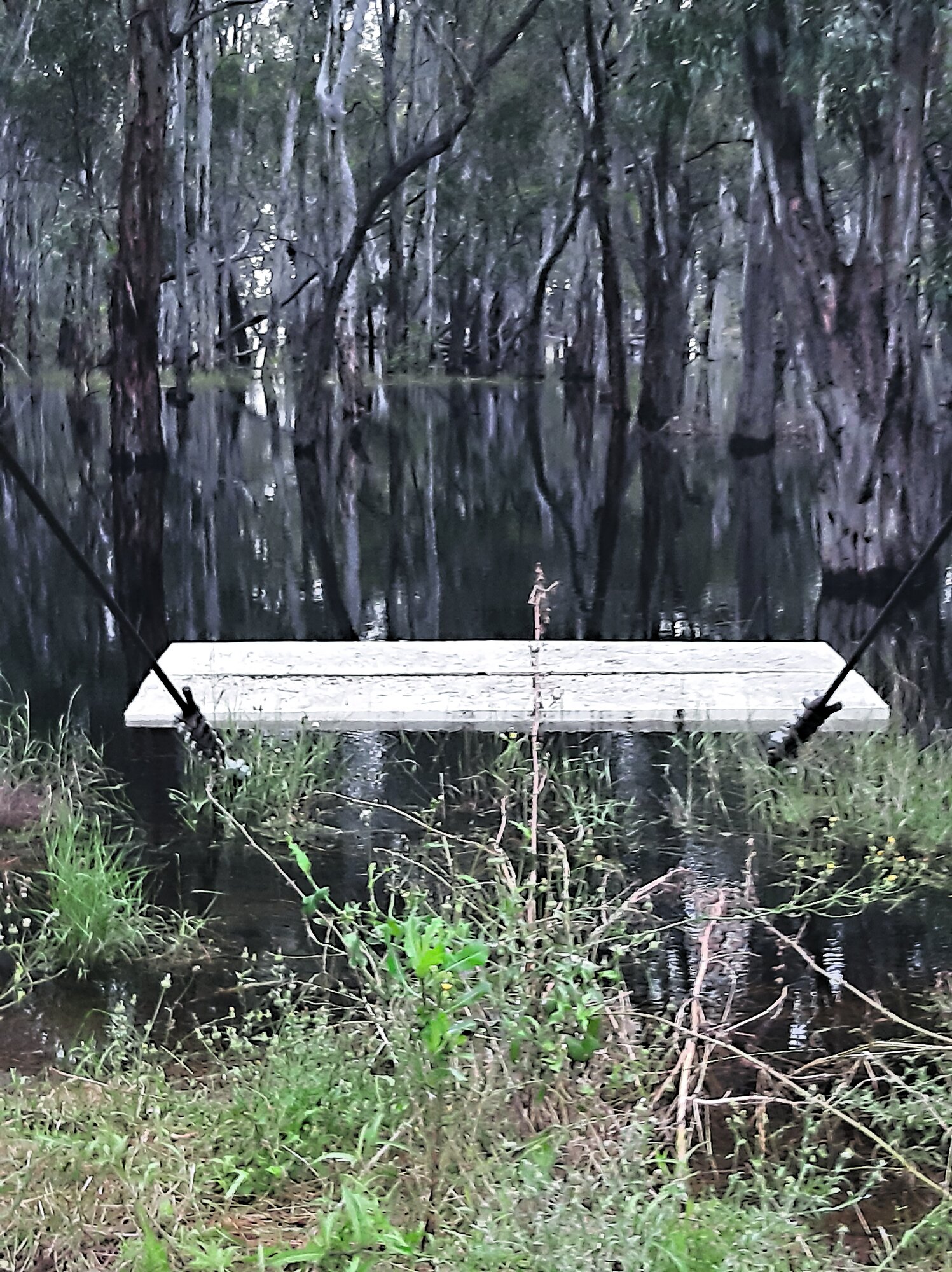 flood balranald_cymk.jpg