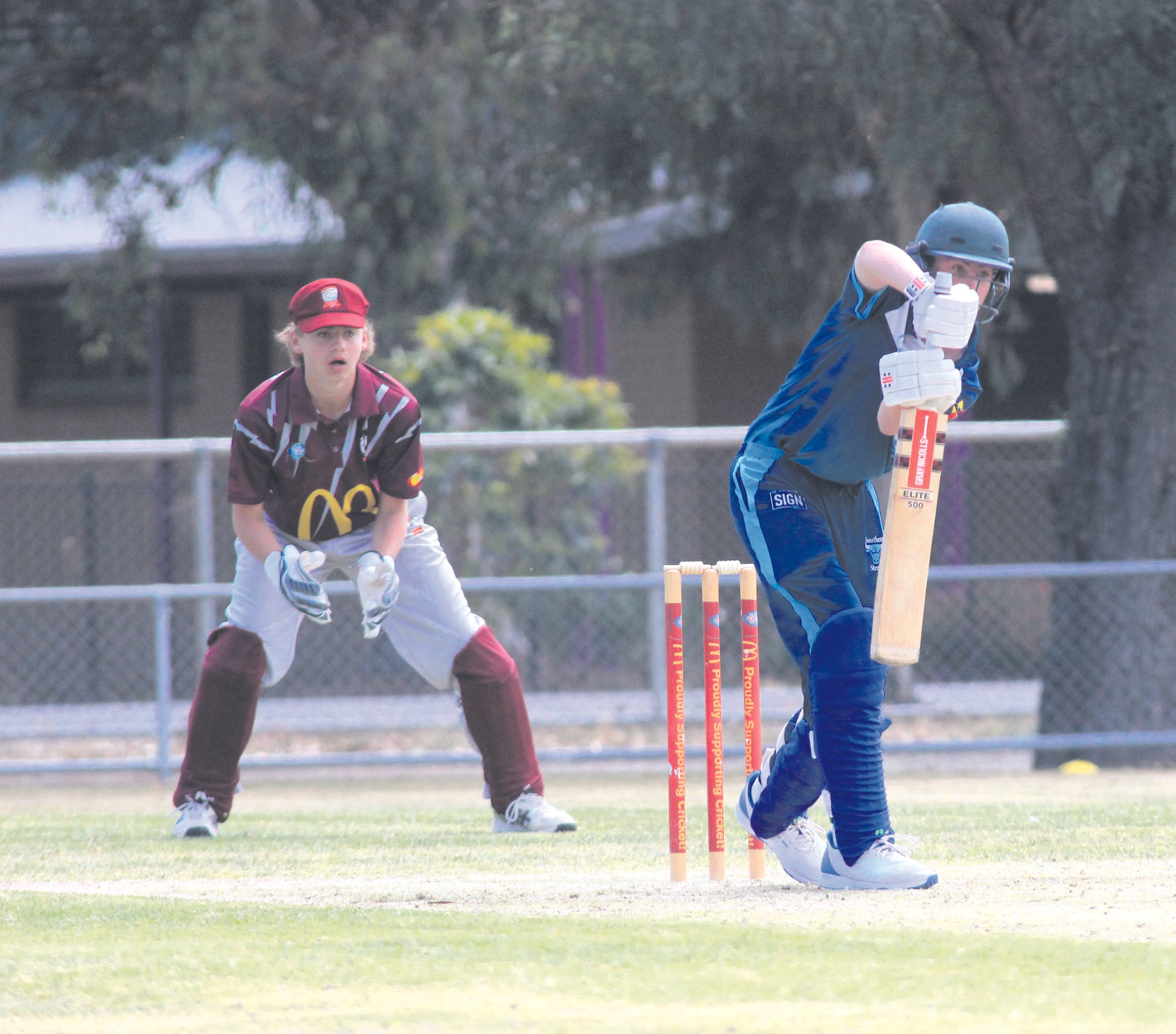 IMG_7455_archie cricket cymk.jpg