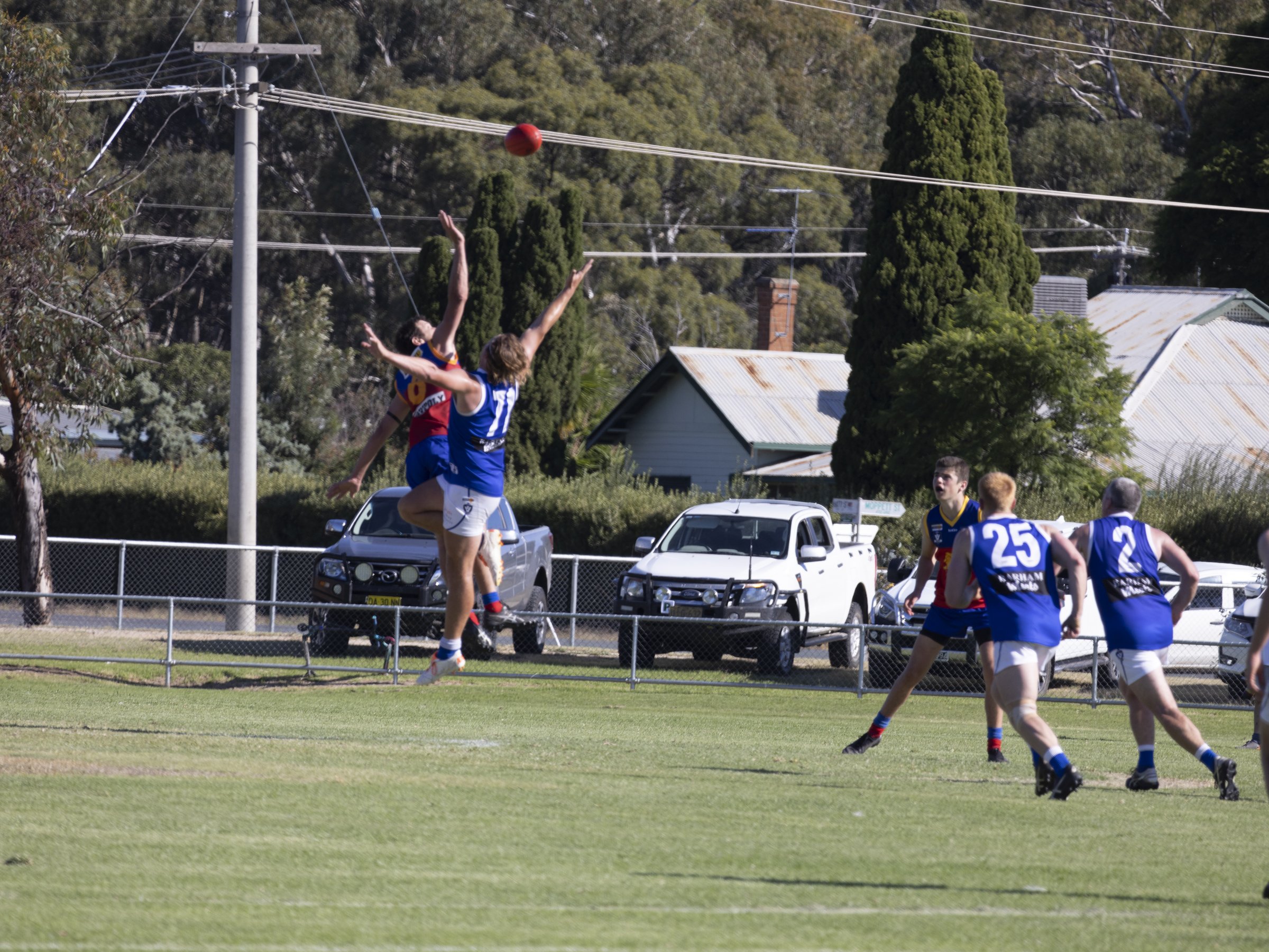 Lions Pic April 27.jpg