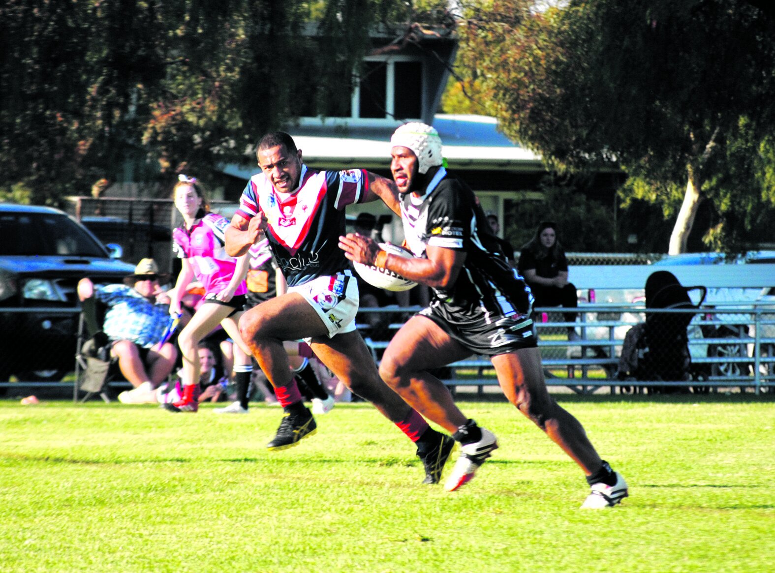 Magpies Tim.jpg