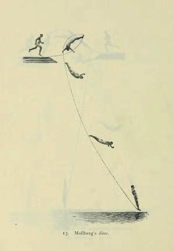 Molberg's dive.jpg