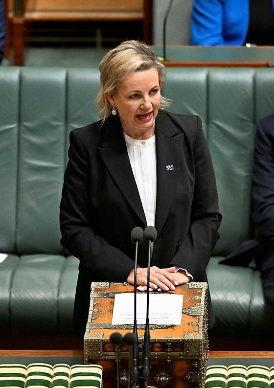 Sussan Ley Parliament.jpg