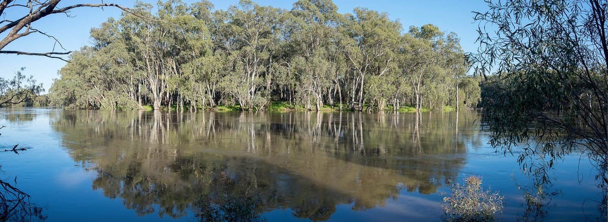 River level to peak at Hay next week