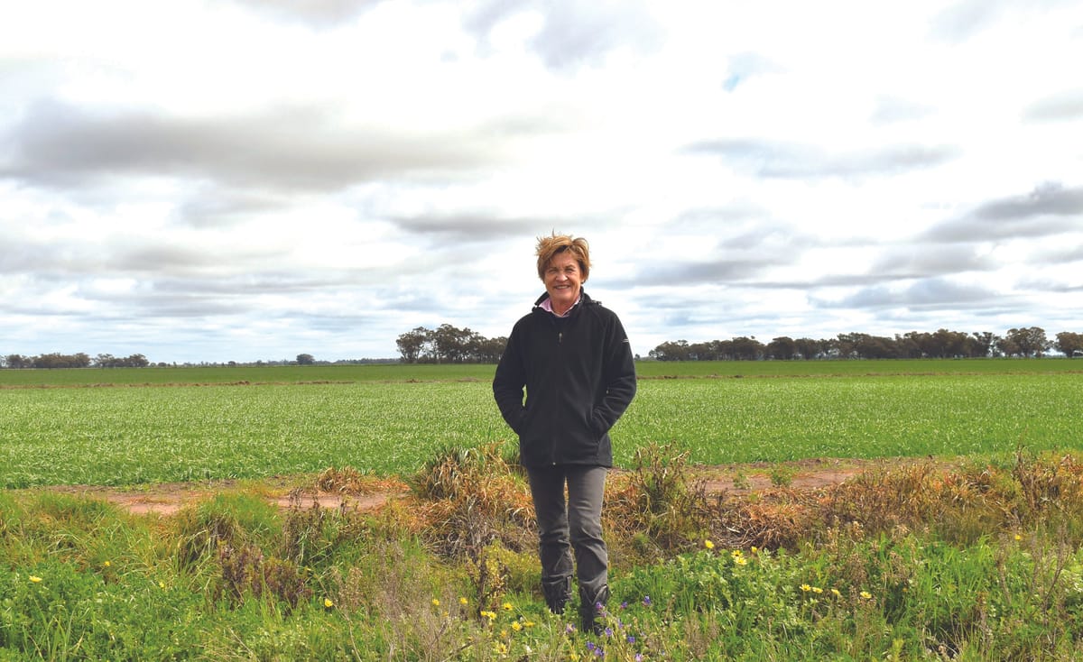 Helen Dalton’s bombshell video points finger at Gundaline