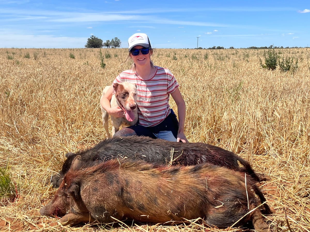 Shooters play their part in biosecurity and feral pig control