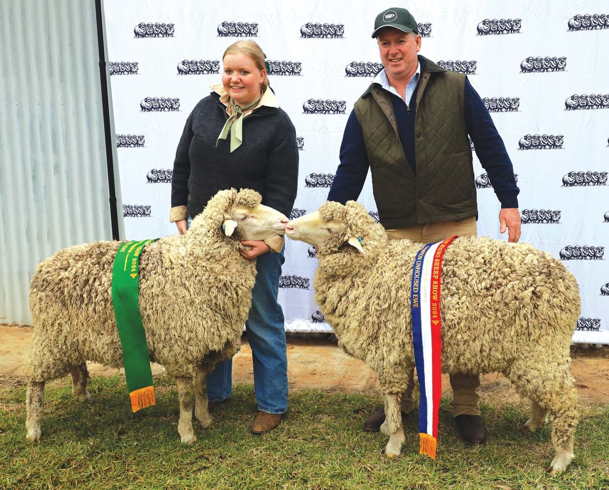 $15,550 paid for Woodpark Poll ram
