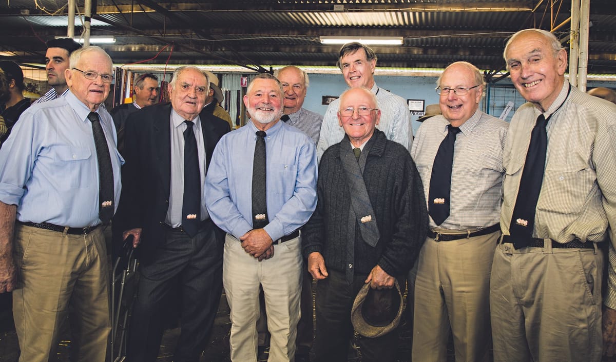 Hay Merino Sheep Show: a rich history