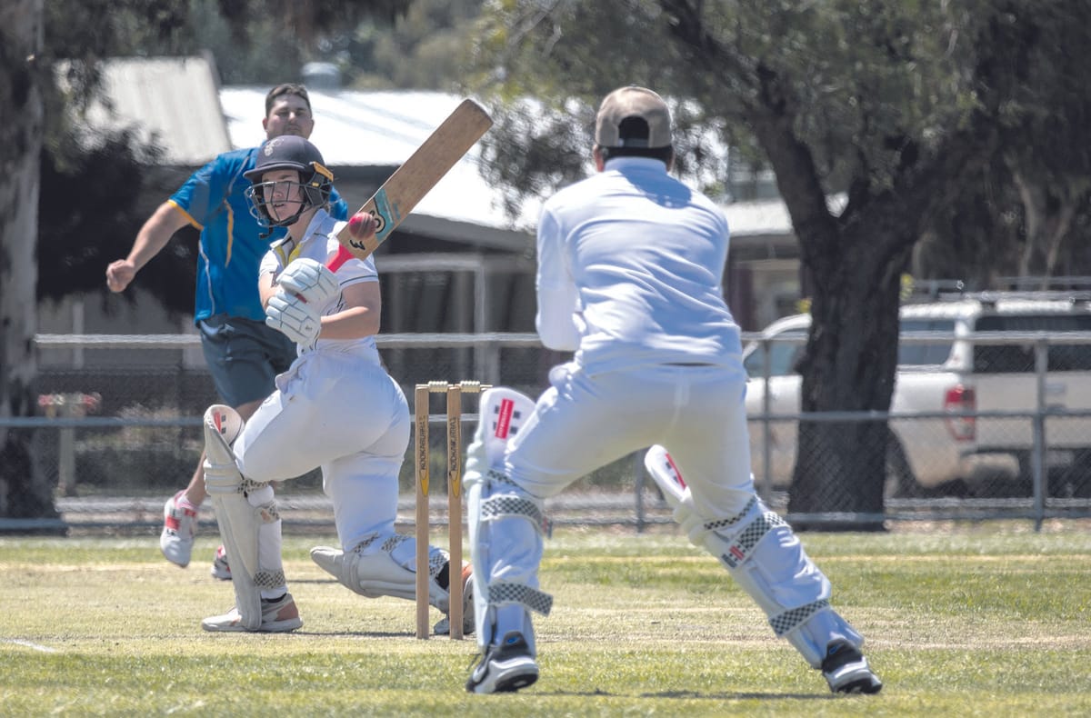 Spring cricket back in swing