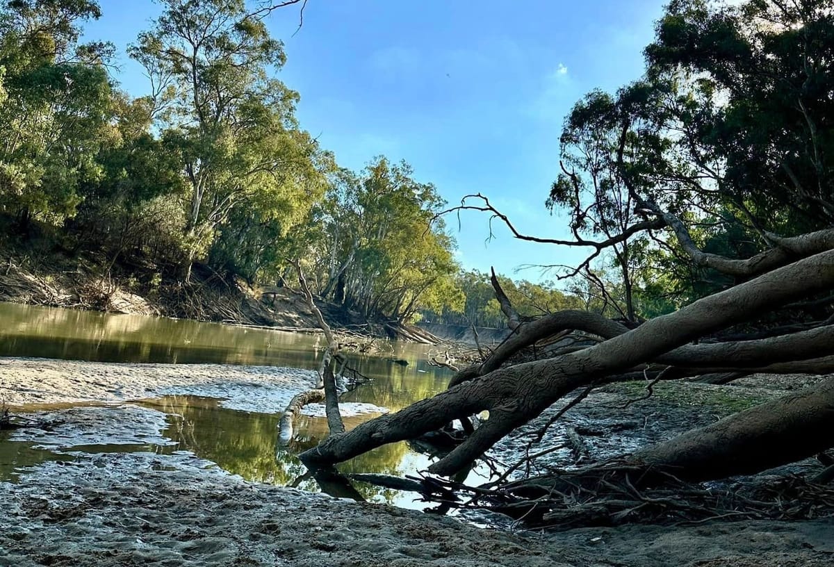 $13B spent on the Murray Darling Basin Plan but Helen Dalton calls it “lazy politics”
