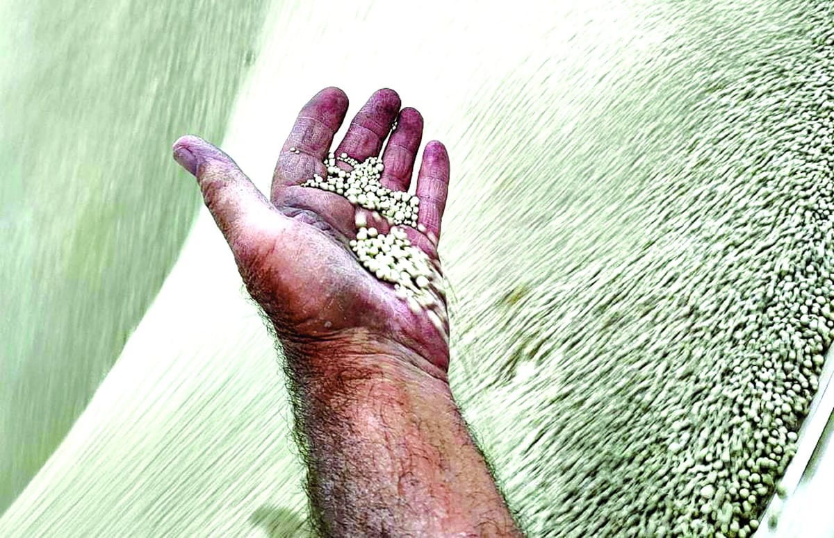 Wine bottles set to boost yields