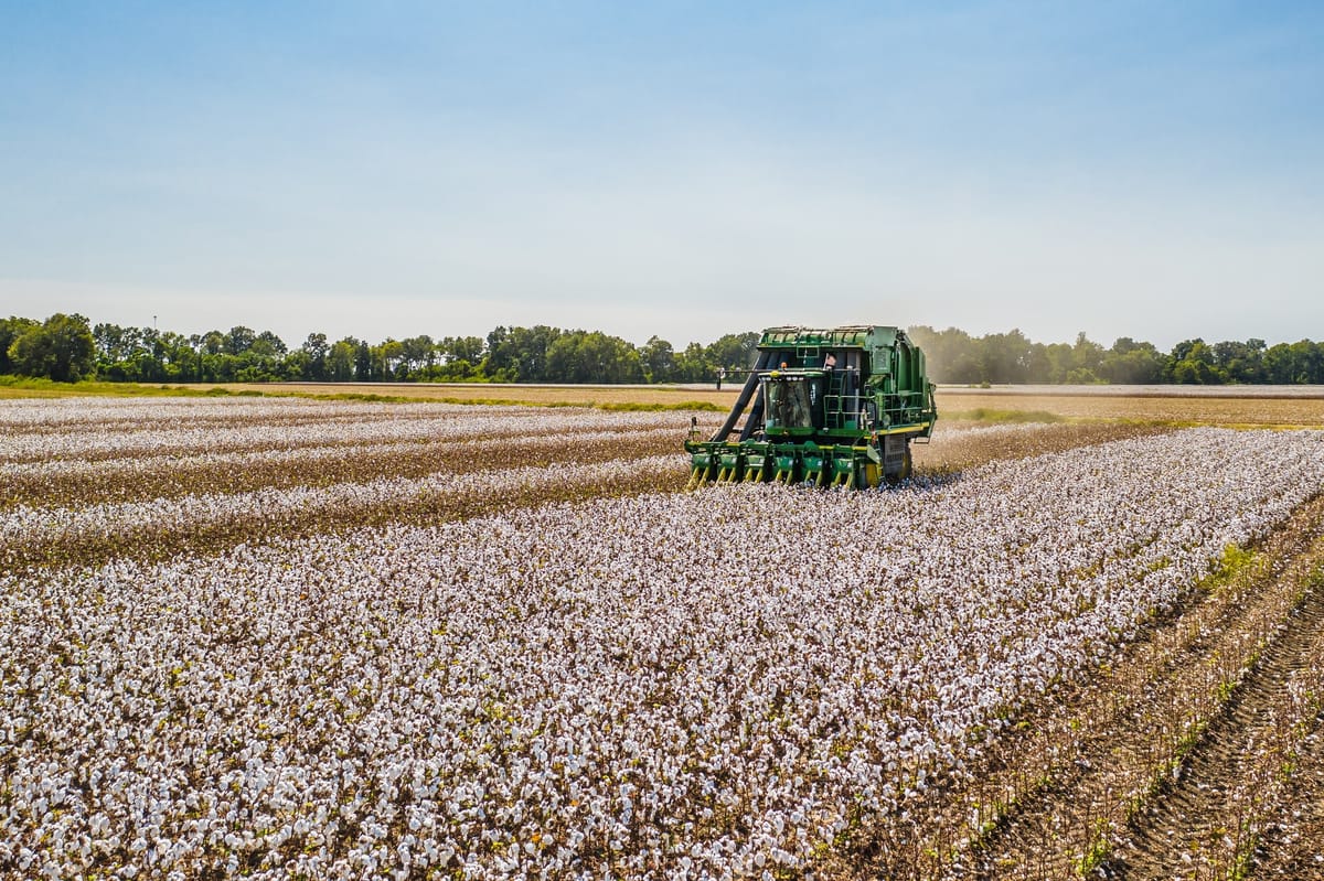 Australian cotton tipped for second best year on record