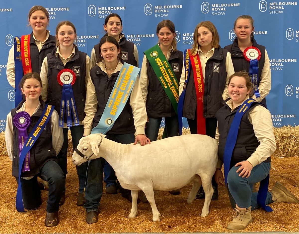 Sheep stud teams clean up at show