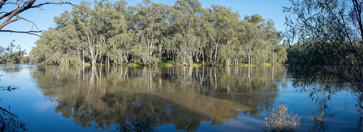 River level to peak at Hay next week