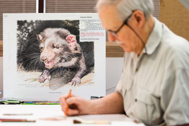 Story of a wildlife artist - Chris McClelland