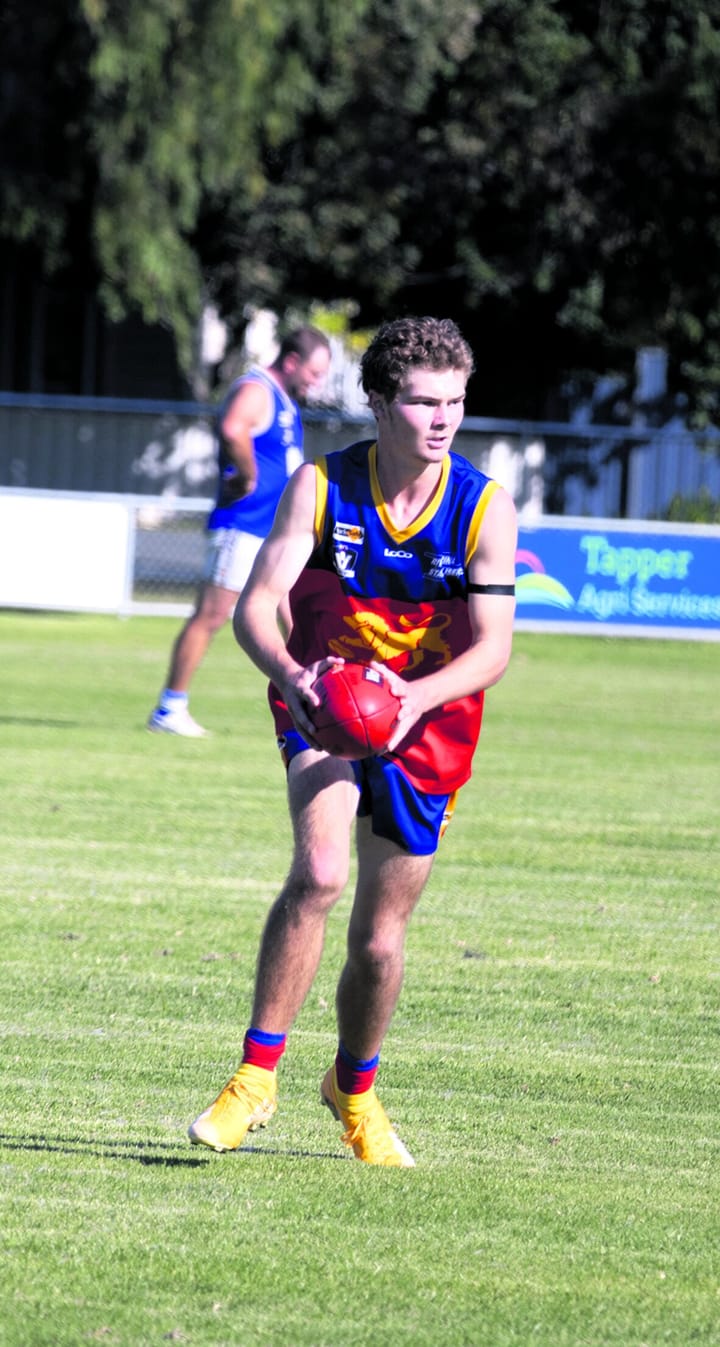 Nail-biting defeat for Lions