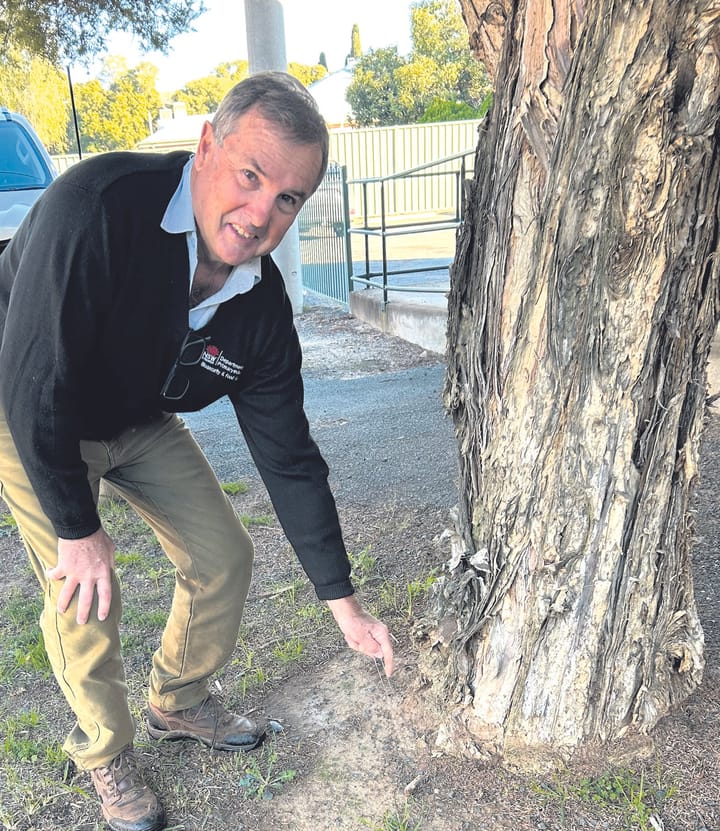 Dean Whitehead educates CWA on NSW fire ants response