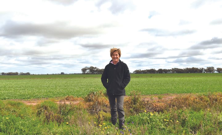 Helen Dalton’s bombshell video points finger at Gundaline