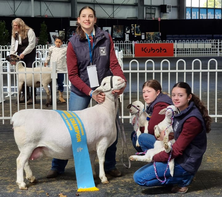 Hay reigns supreme at Melbourne Royal