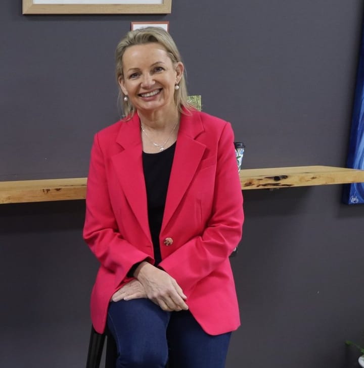 Member for Farrer Sussan Ley calls for nuclear power stations