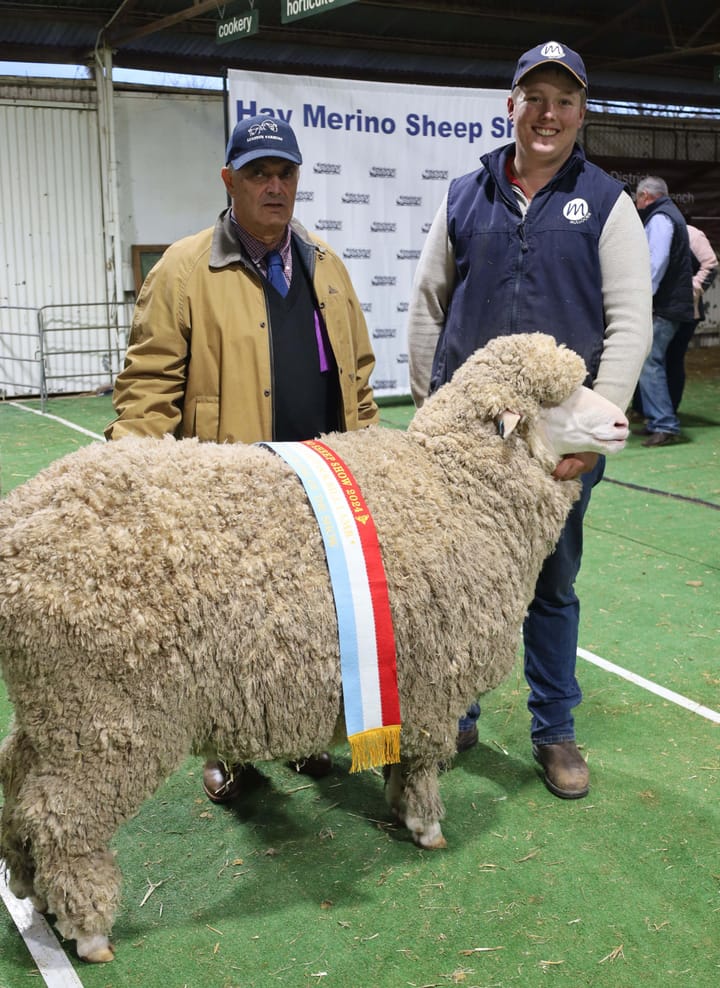 Local breeders in the winners circle at 2024 Hay Merino Sheep Show
