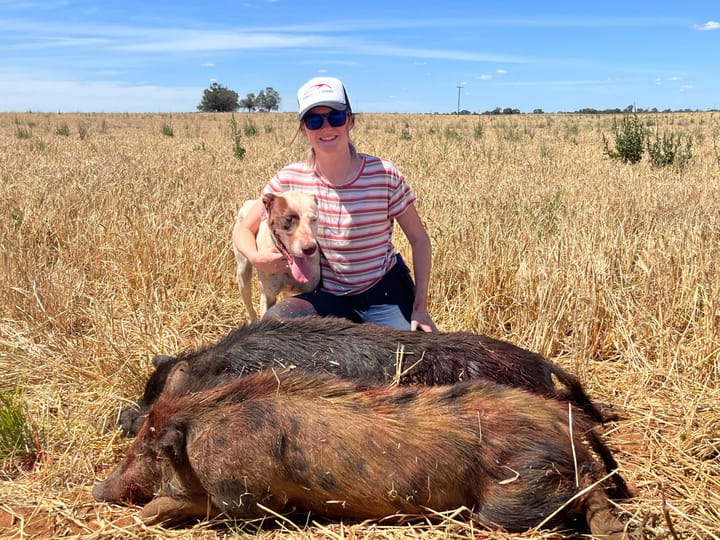 Shooters play their part in biosecurity and feral pig control