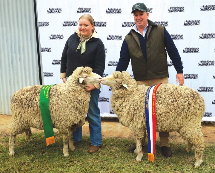 $15,550 paid for Woodpark Poll ram