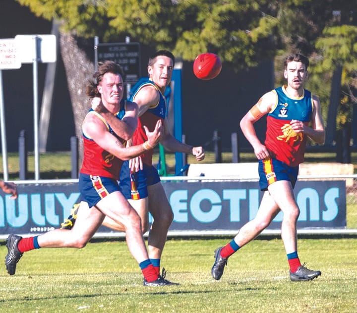 Clean sweeps for Hay Lions AFL and netball teams