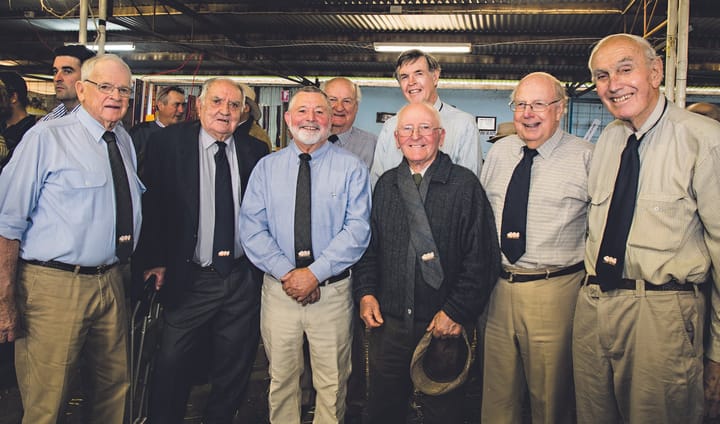 Hay Merino Sheep Show: a rich history