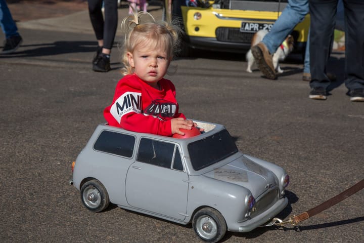 Hay Embraces the Mini