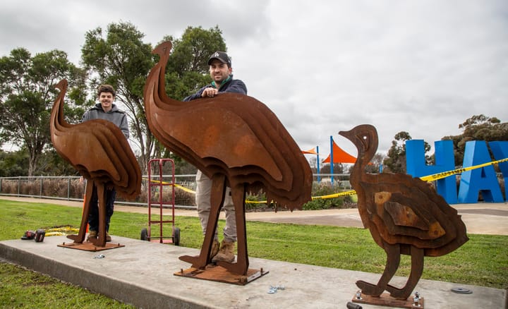 Trio of emus here to welcome you to Hay