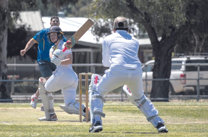 Spring cricket back in swing