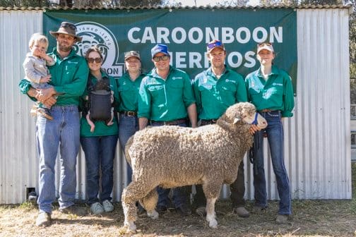 Successful ram sales at Caroonboon and East Loddon