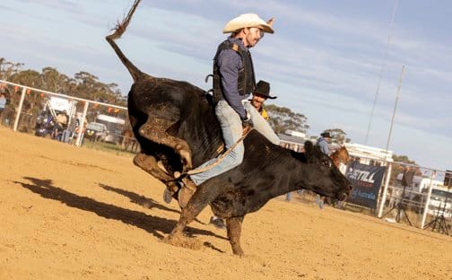 Another Bucking Success for Hay Rodeo