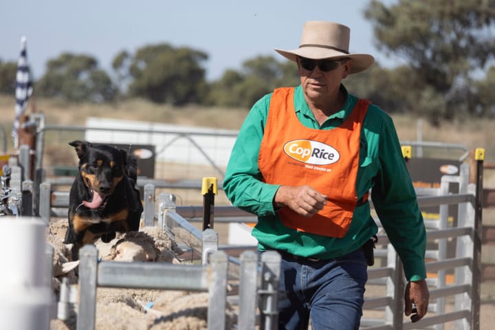 Dean Incher continues Hay trial success