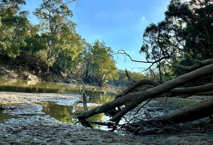 $13B spent on the Murray Darling Basin Plan but Helen Dalton calls it “lazy politics”