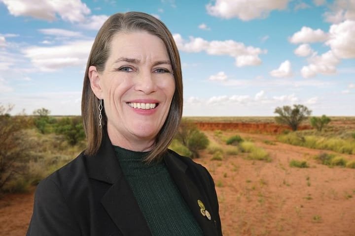 Local politicians expenses revealed