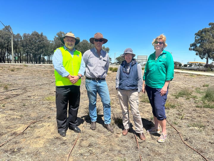 Roundabout refit - Hay Shire and Landcare partner to fix eyesore