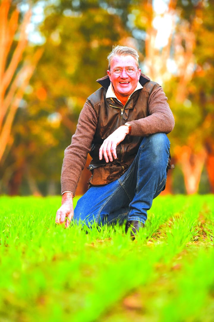 Familiar faces lead innovation
