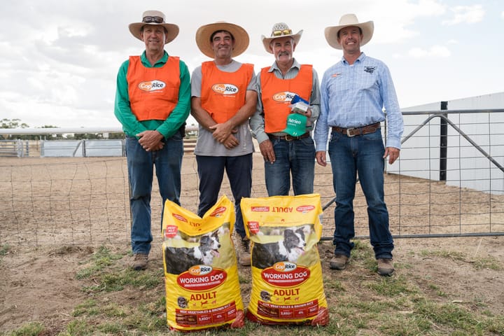 Top honours for Benalla duo