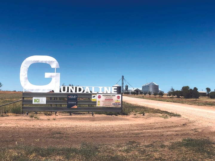 Murrumbidgee Council says no action on alleged Gundaline fuel spill