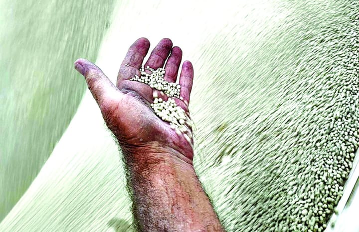 Wine bottles set to boost yields